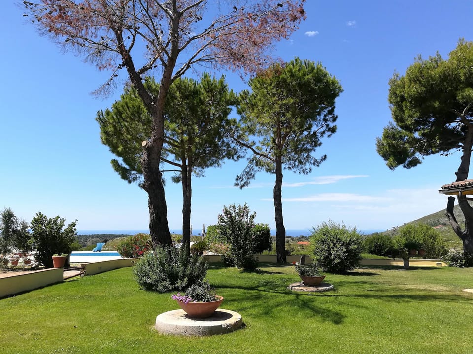 Garden view