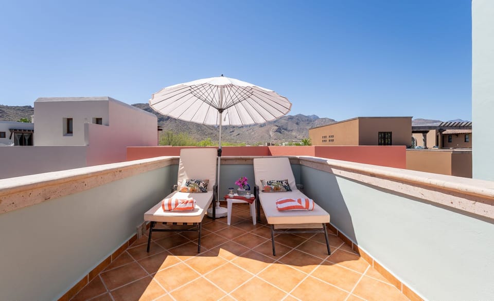 Terrace / Outside furniture / Sun lounges (2)
