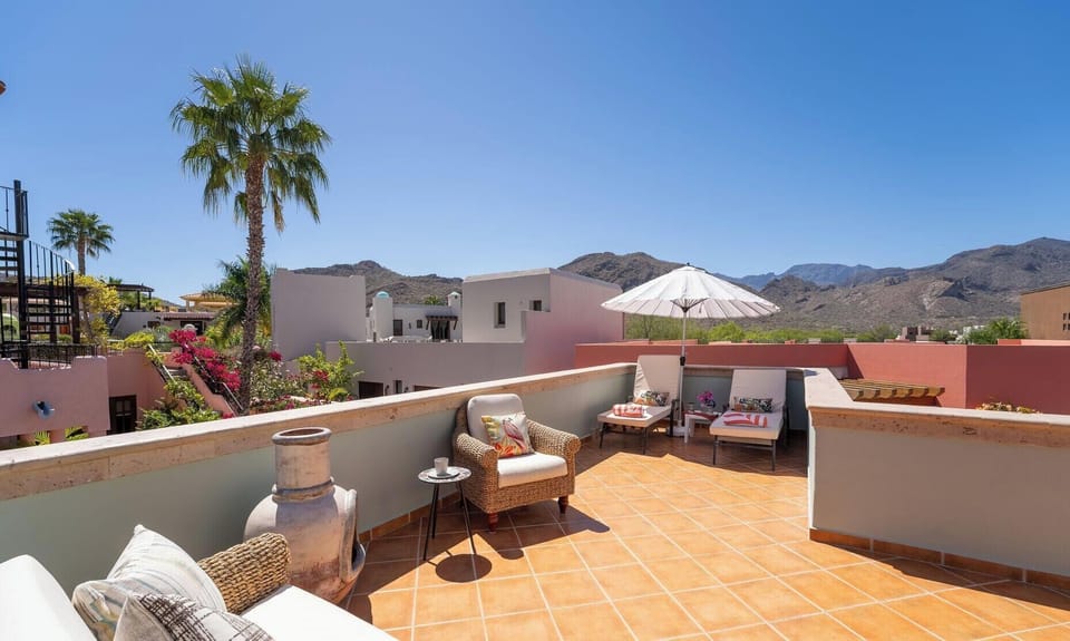 Terrace / Outside furniture / Sun lounges (2)