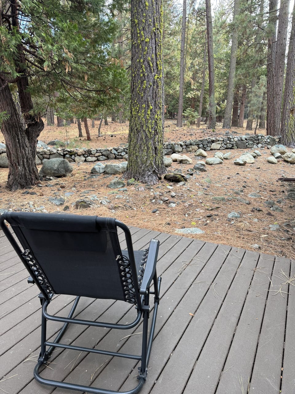 View from back deck area is forested open space
