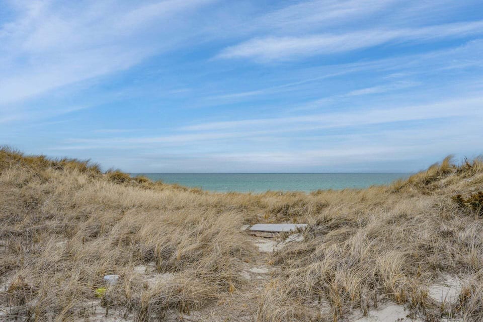 View of the beach
