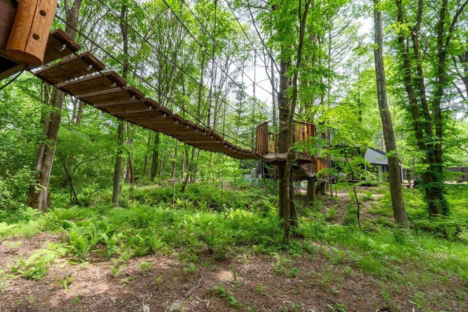 16_01_6_Treehouse.jpg