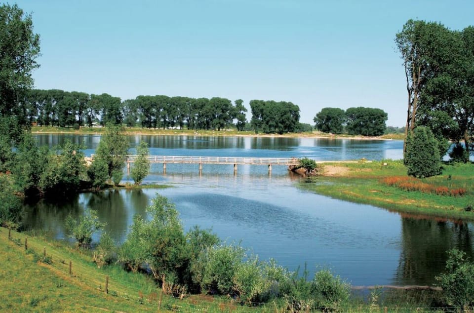 Unwind with tranquil waterside views and fresh morning air.