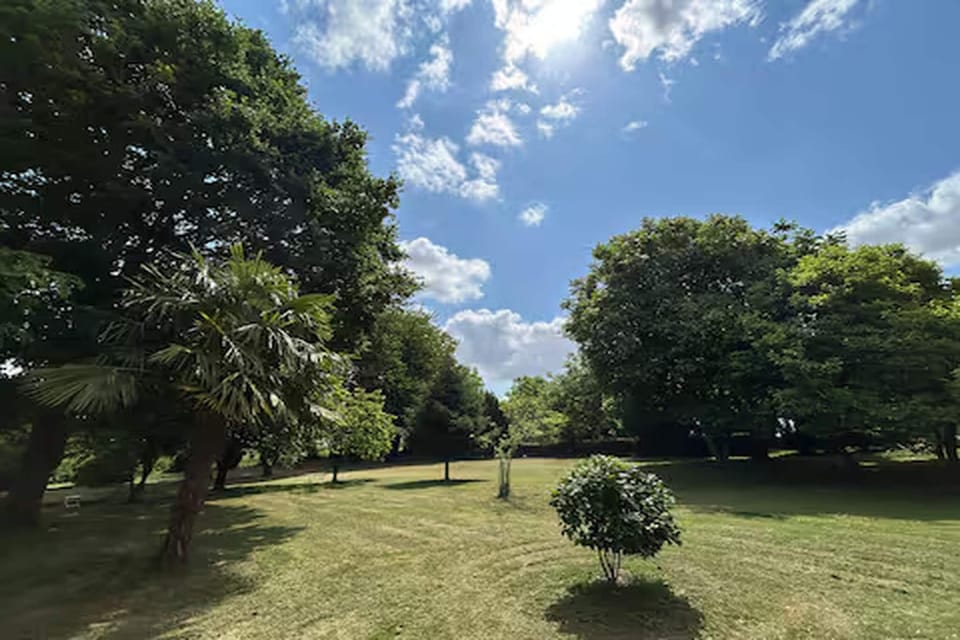 Garden [summer]