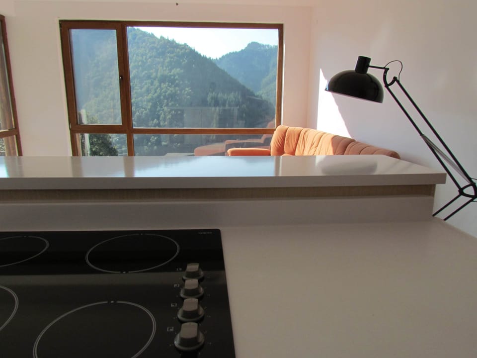 BG-Hols_Web_Photo_Xcopies (135)