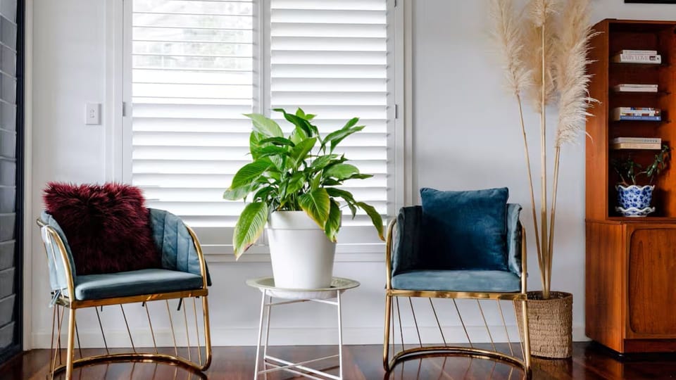 Bright sitting nook with stylish chairs and plenty of natural light.