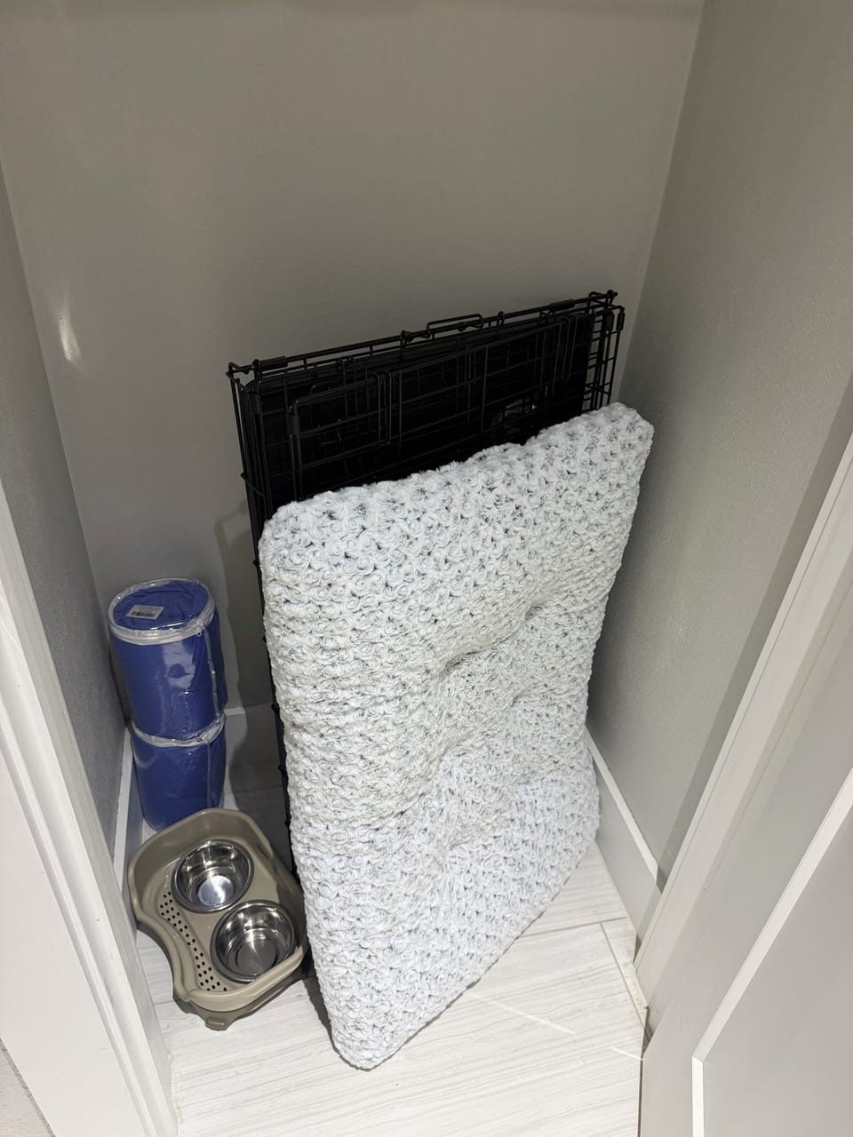 Everything you need for your furry friend.
