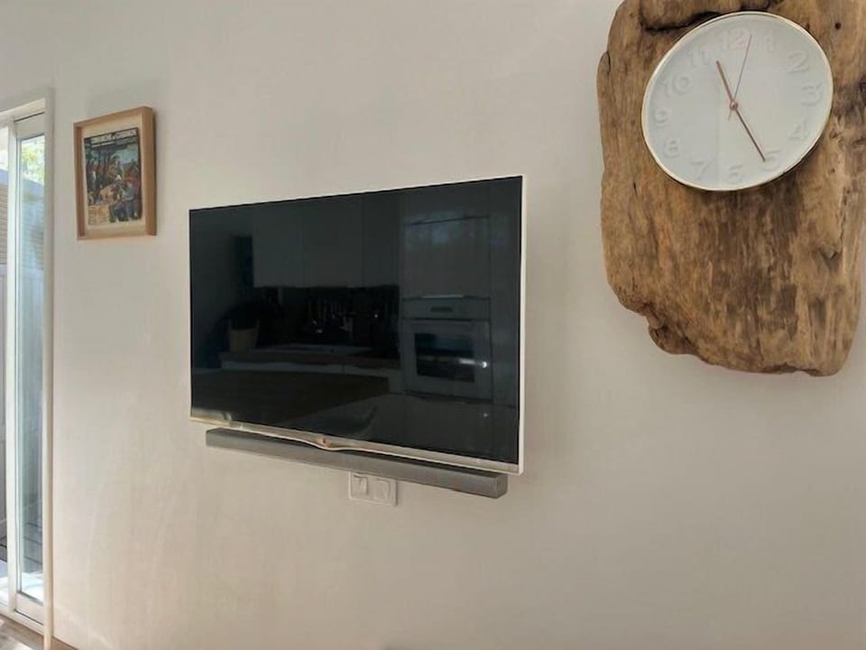 Television