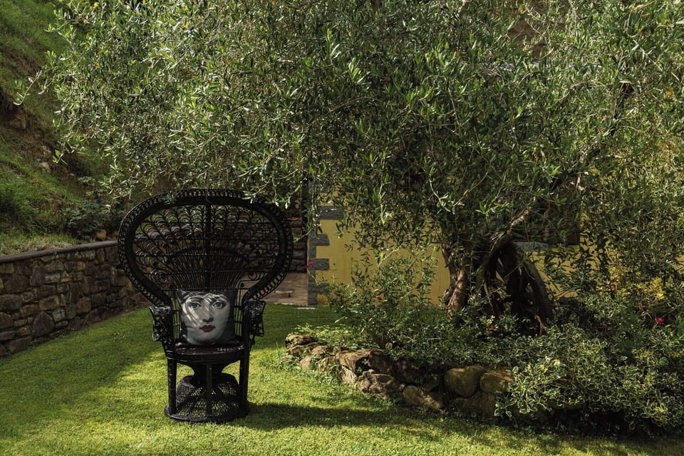 Shrub, Garden, Trunk, Woody Plant, Landscaping, Backyard, Yard, Lawn Ornament, Lawn, Botanical Garden