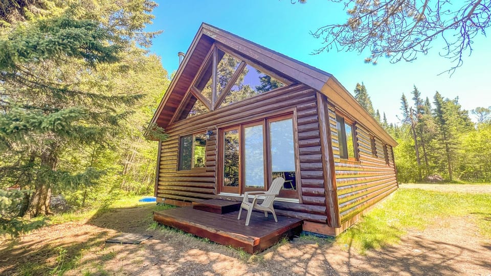 A charming log cabin with modern windows nestled among towering evergreens, featuring a welcoming deck for morning coffee and forest views.