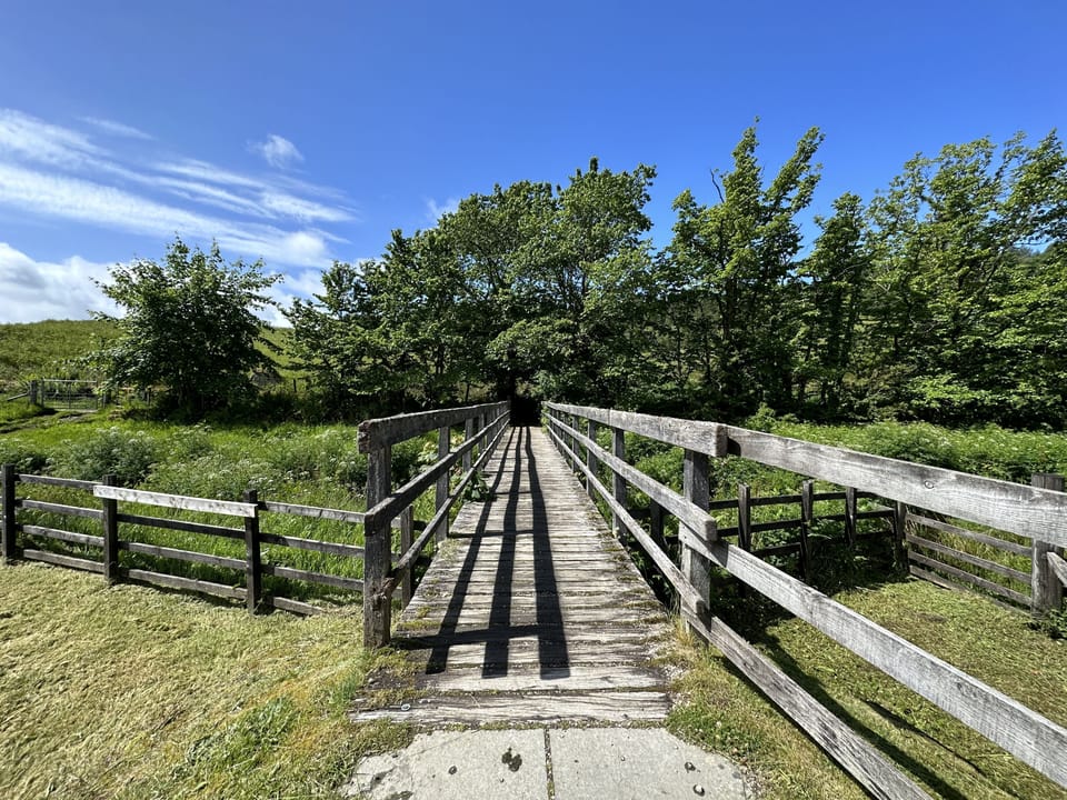 Local walks