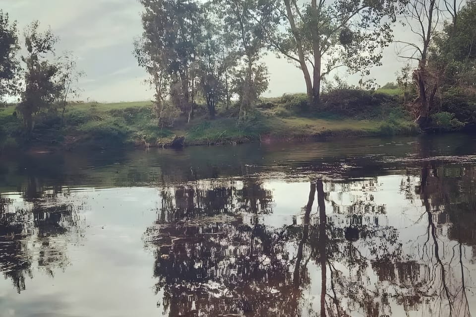 Miscellaneous