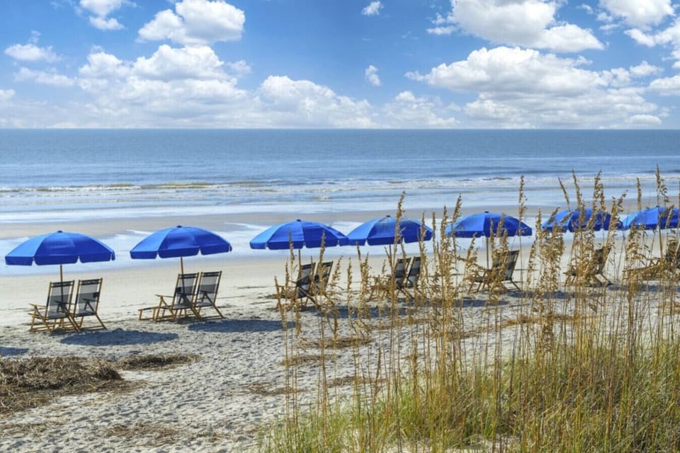 Resort beach access in Palmetto Dunes