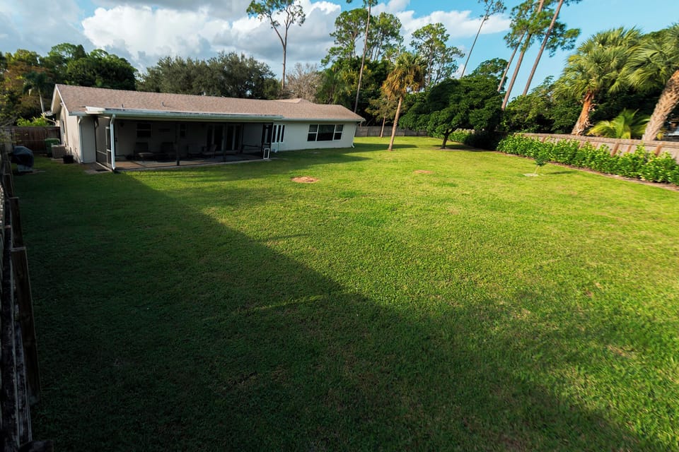 Backyard - soon w/ pool and large patio
