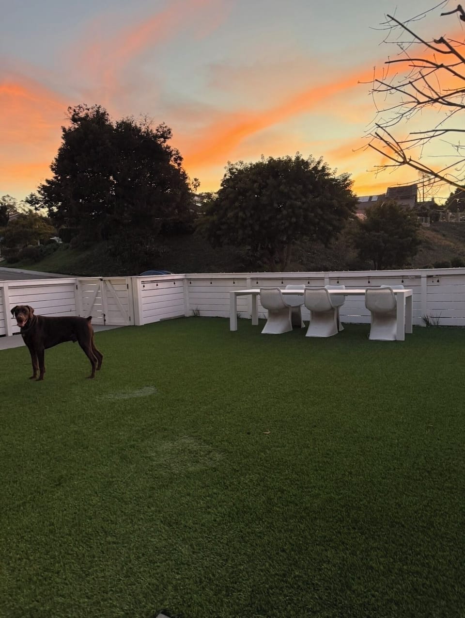 Outdoor dining