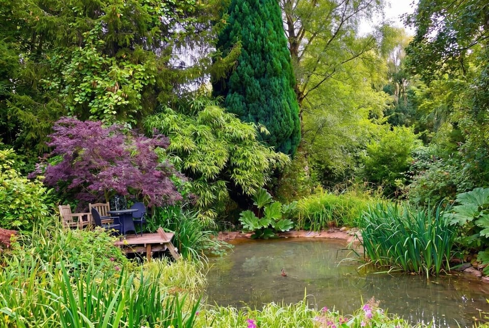 The wildlife pond and mature planting create a truly private natural retreat.