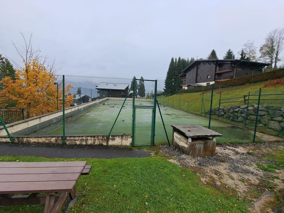 Sport court