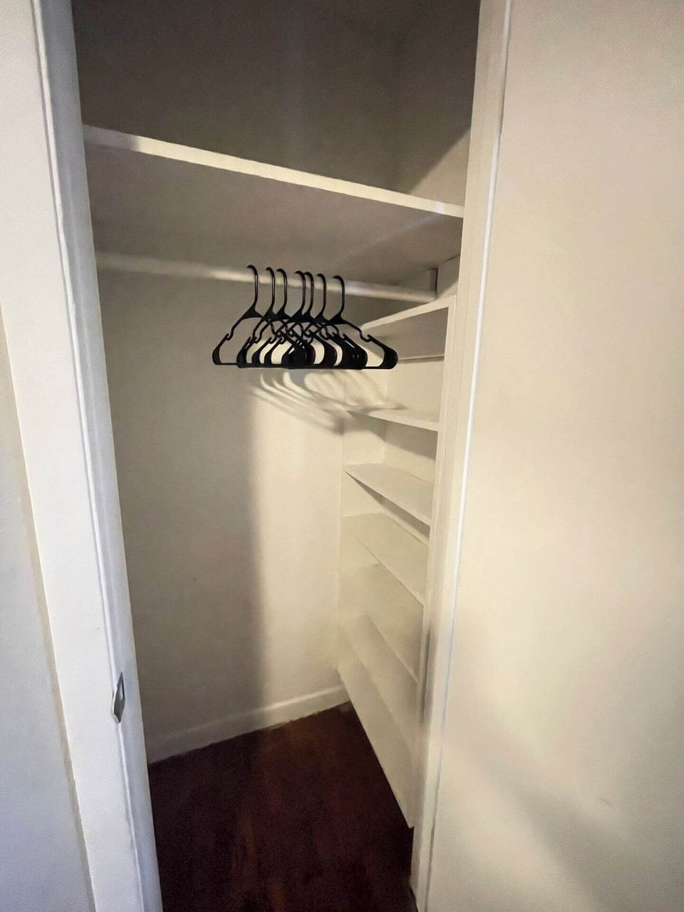 Spacious walk-in closet with ample hanging space and luggage storage.