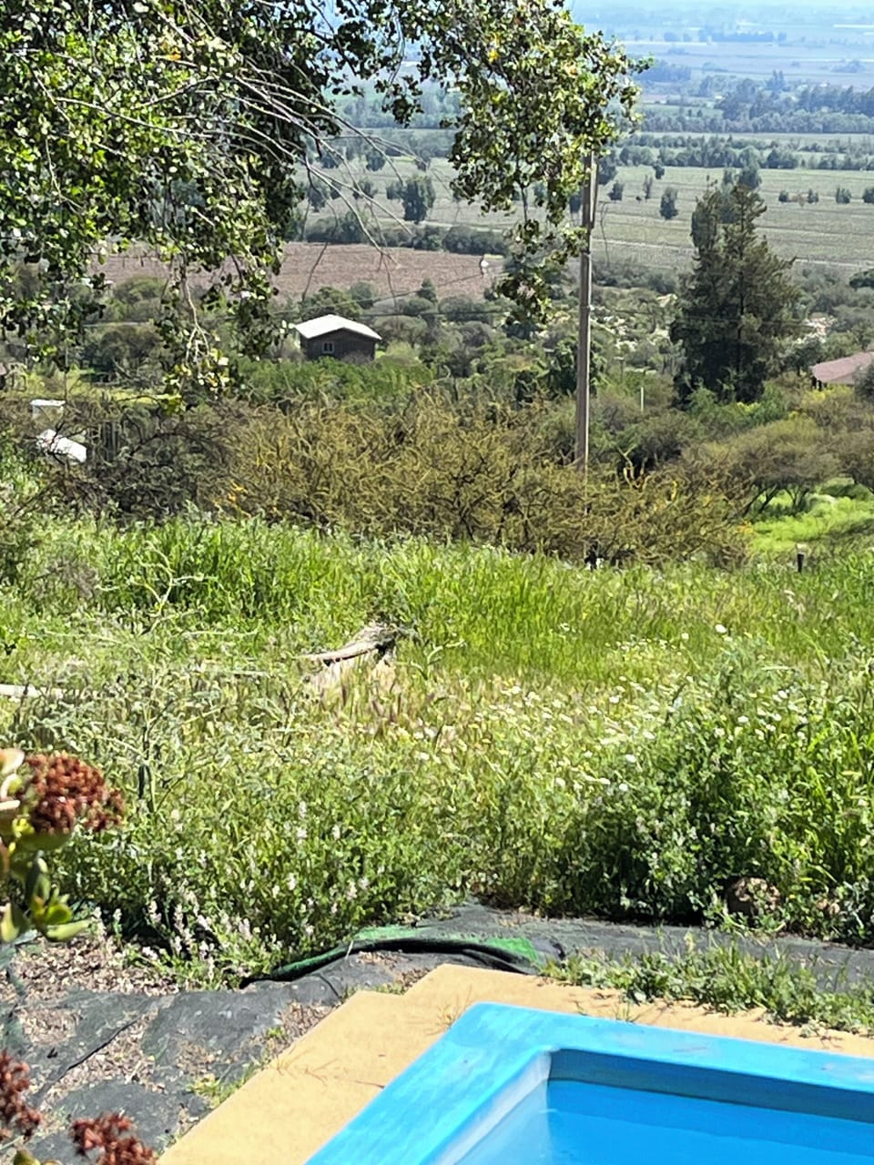 View from property