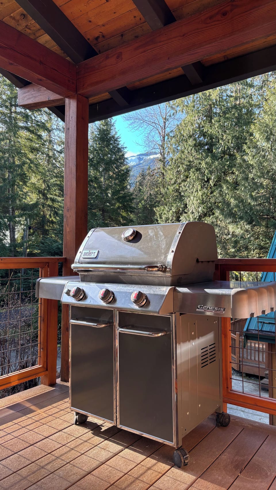 Gas BBQ grill