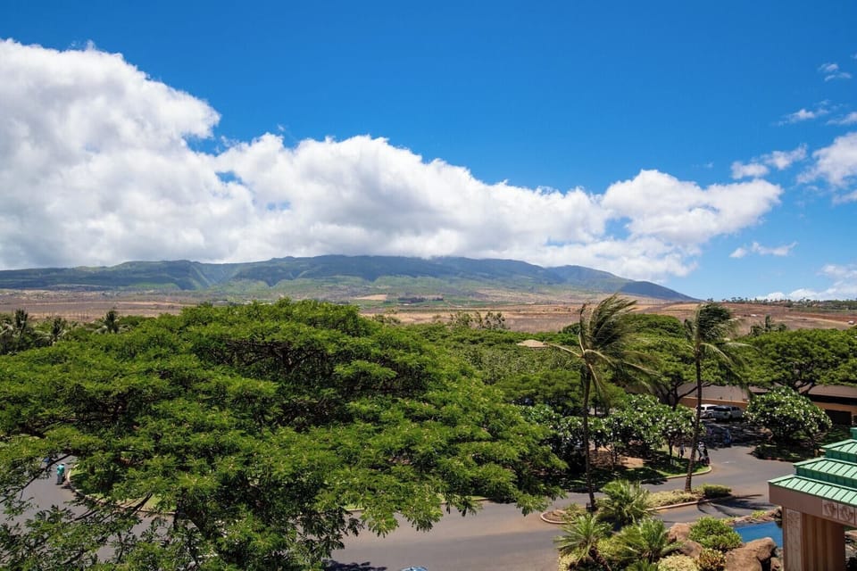 Wake up to sweeping mountain vistas and rustling palms HKH-434