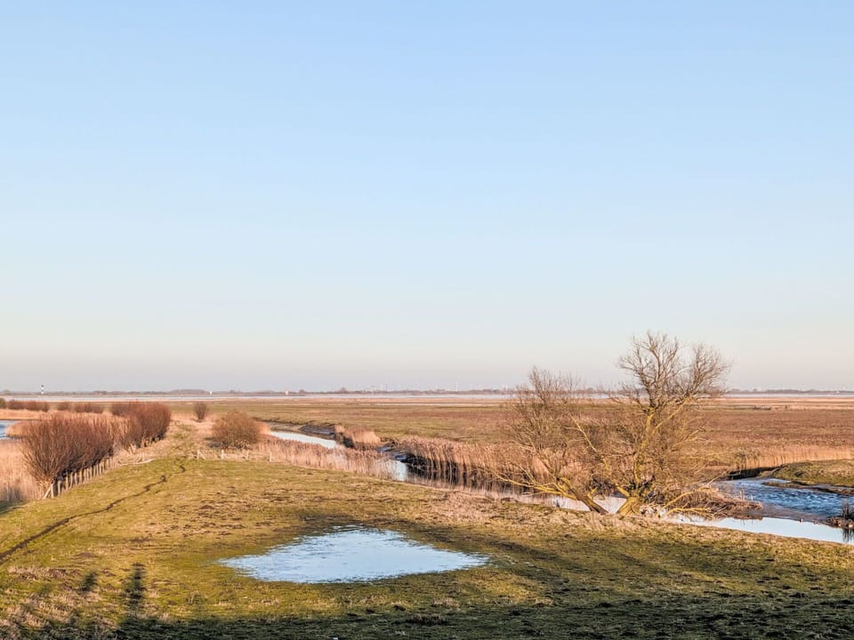 Sky, Natural Environment, Natural Landscape, Marsh, Ecoregion, Plain, Grassland