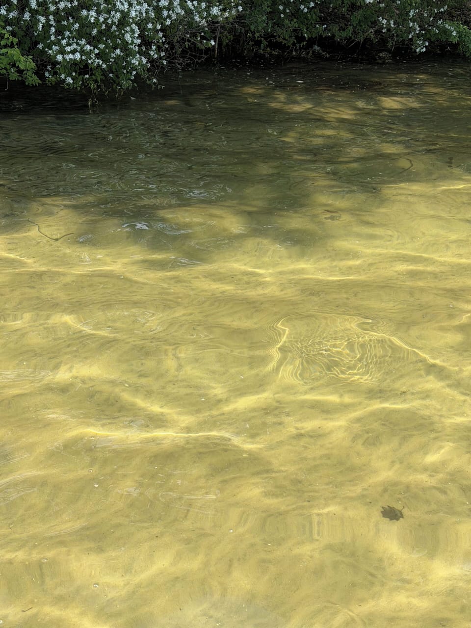 Solid sandy bottom swimming area