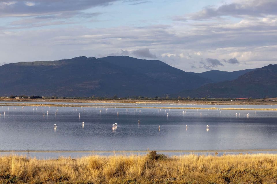 Explore the beautiful Kalloni Wetland, a unique natural habitat perfect for birdwatching and peaceful walks.