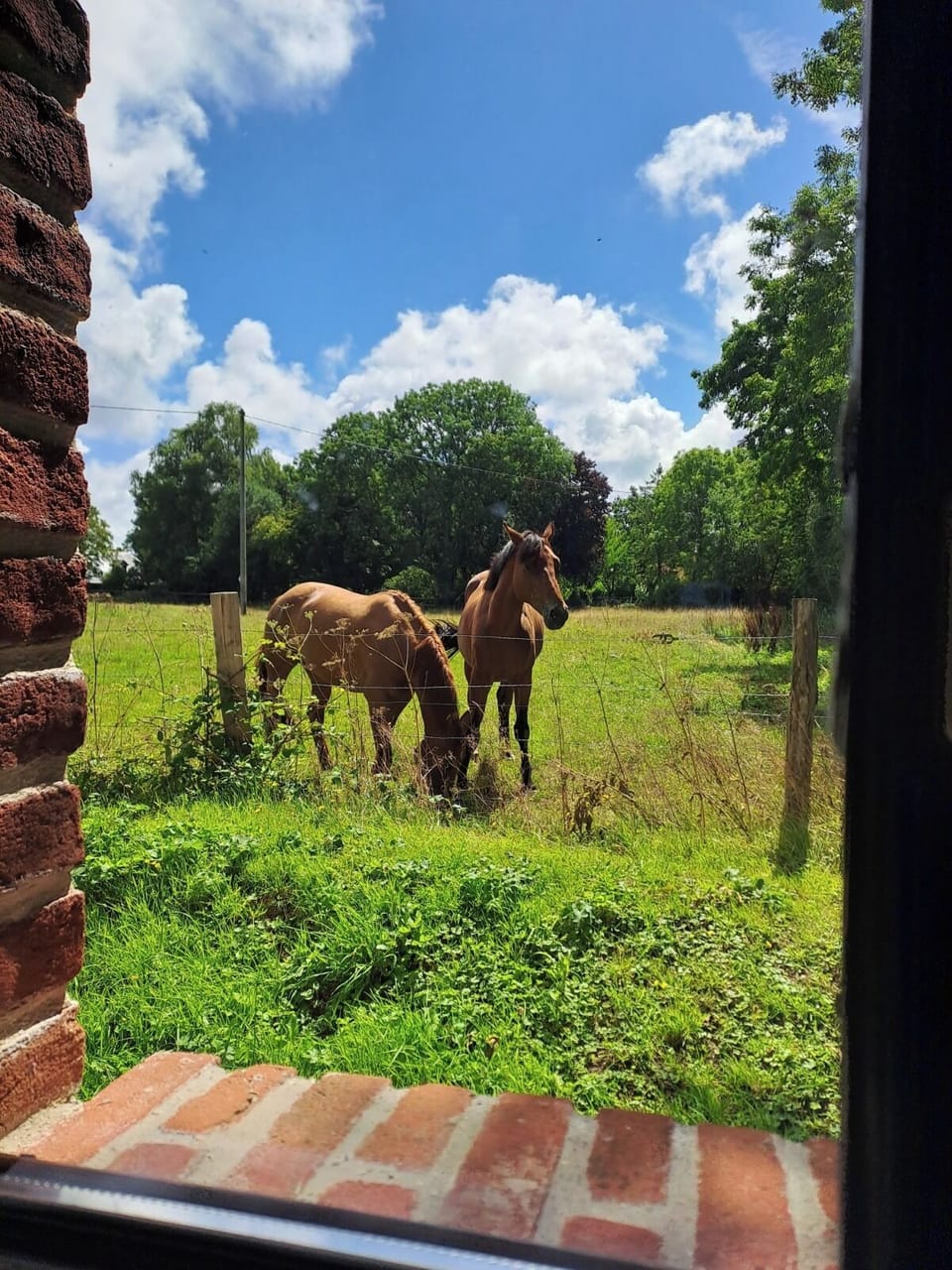 View from property