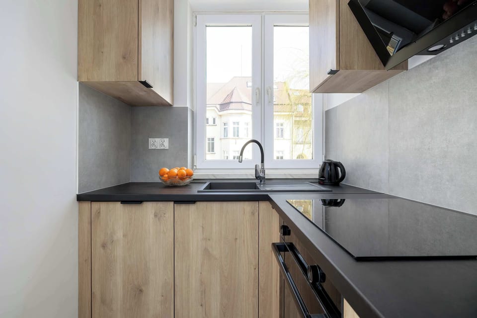 A straight-on view of the kitchen sink area shows a modern black faucet and an induction cooktop. The window offers a view of the outdoors, making the compact cooking space feel more open.