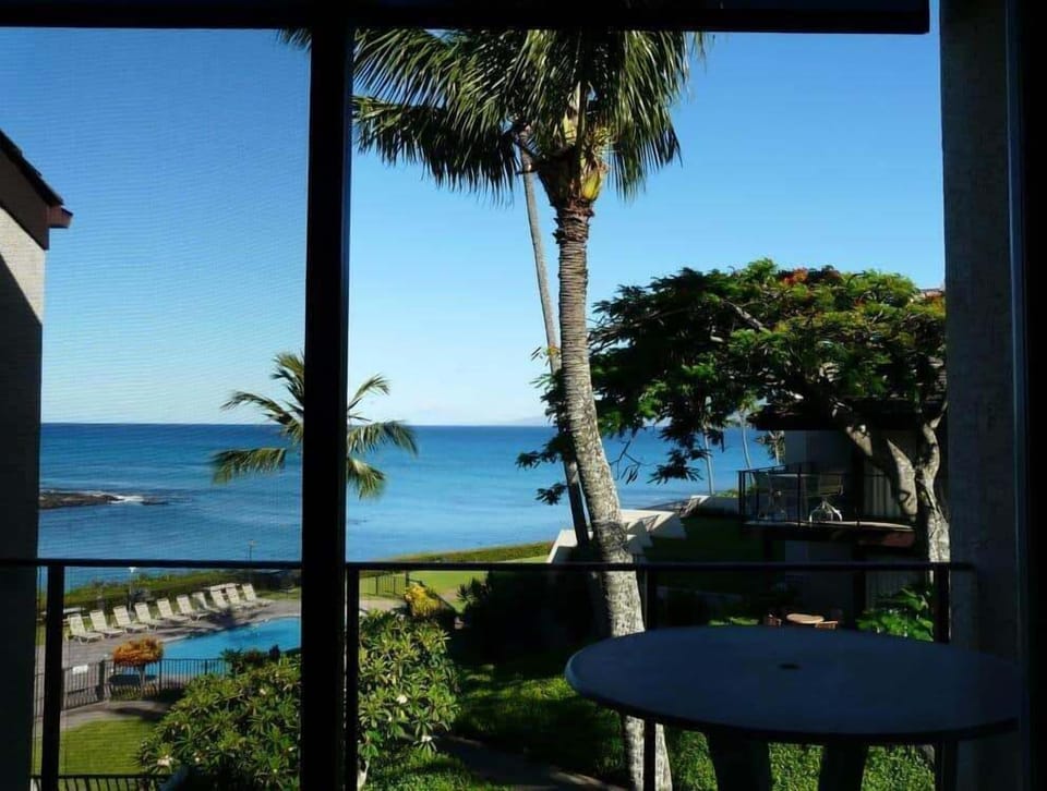 Tree, Nature, Outdoors, Scenery, Palm Tree