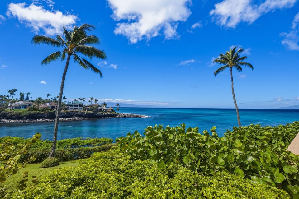Nature, Outdoors, Tropical, Scenery, Land
