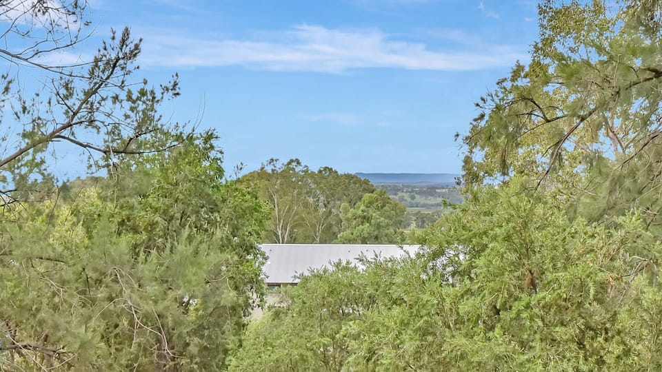 Tranquil treetop views stretching into the distance