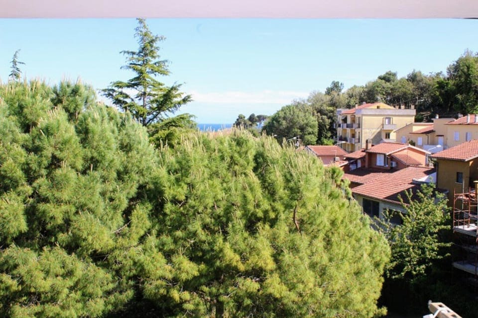 View from Holiday Home [summer]