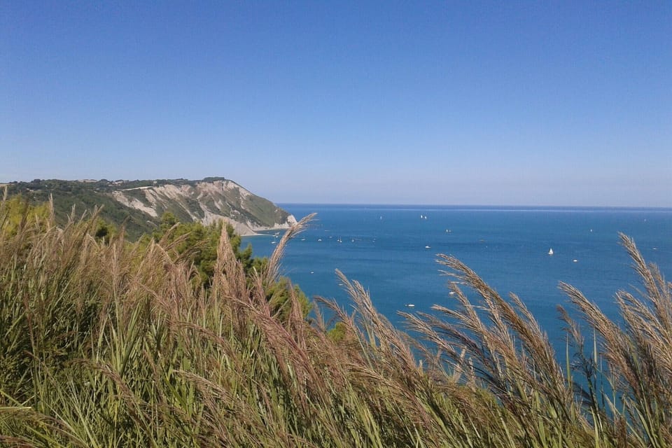Surroundings [summer] (1-5 km)