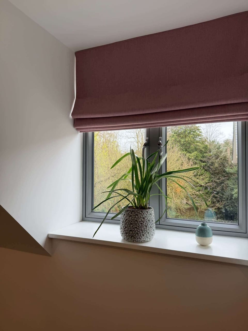 Bedroom Area