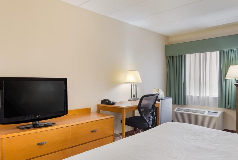 Settle in with a spacious desk, TV, and soft daylight.