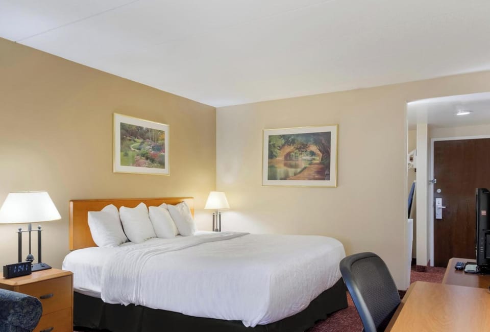 Arrive to a bright, inviting room made for deep rest.