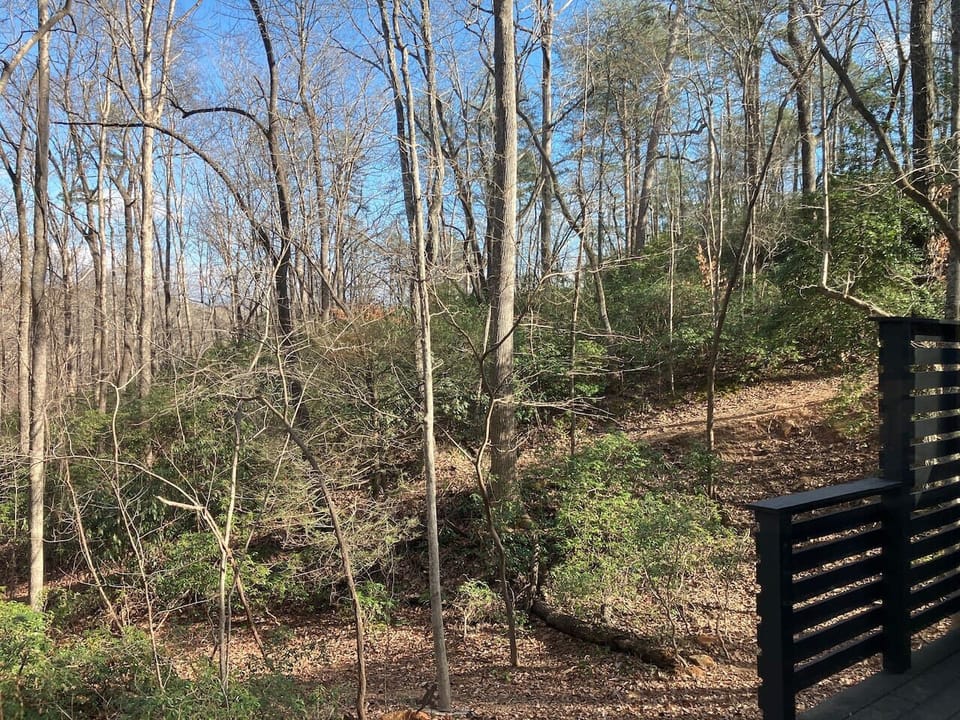 A tranquil outdoor view that makes it easy to unwind and enjoy the beauty of the surrounding landscape.