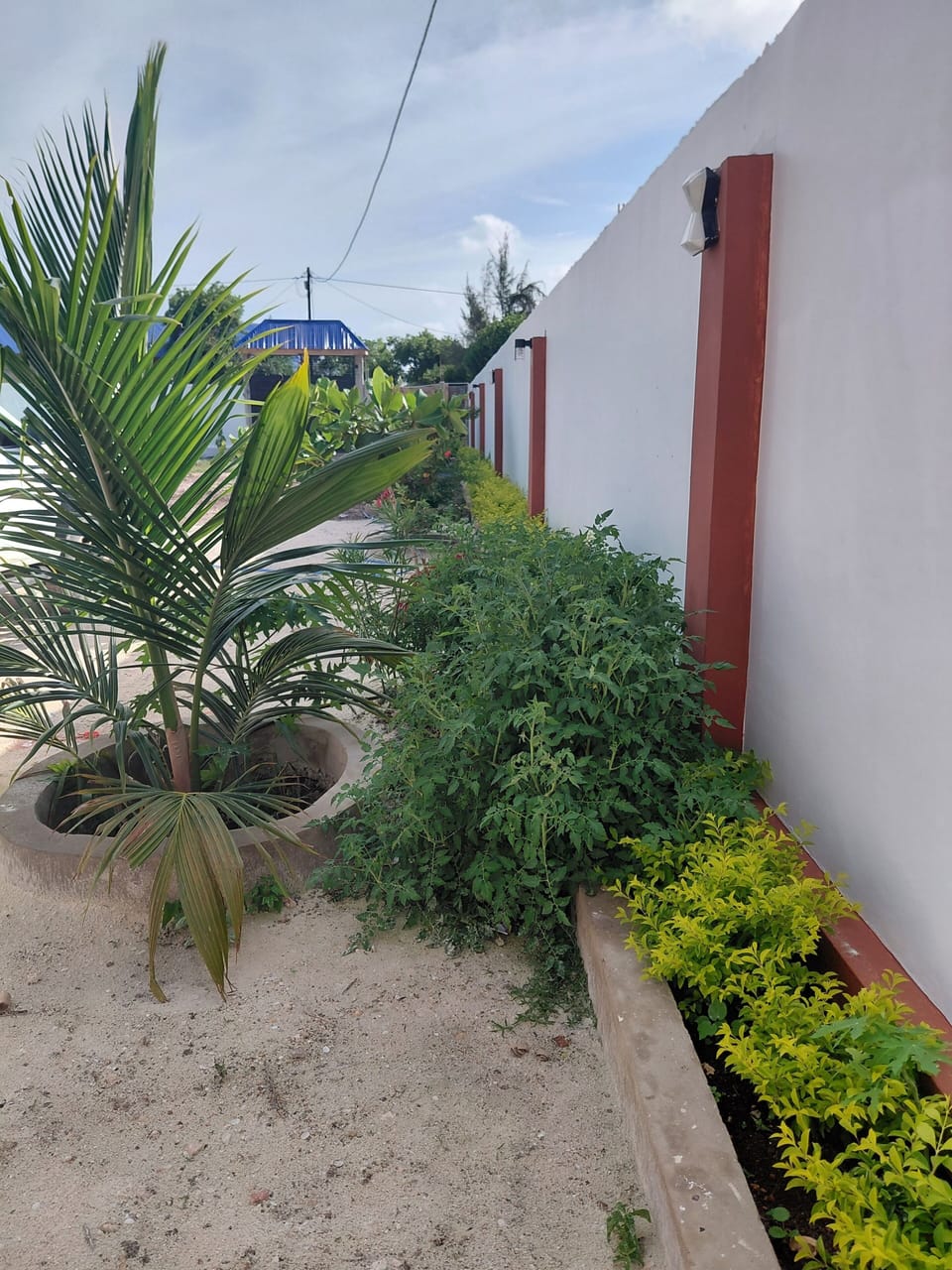 Property grounds