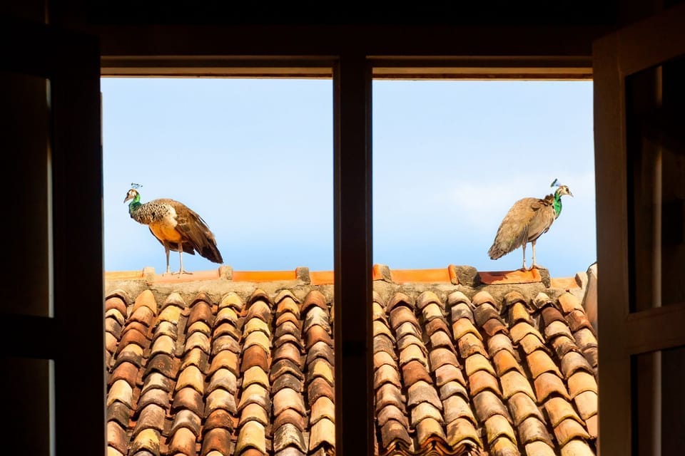 View from property