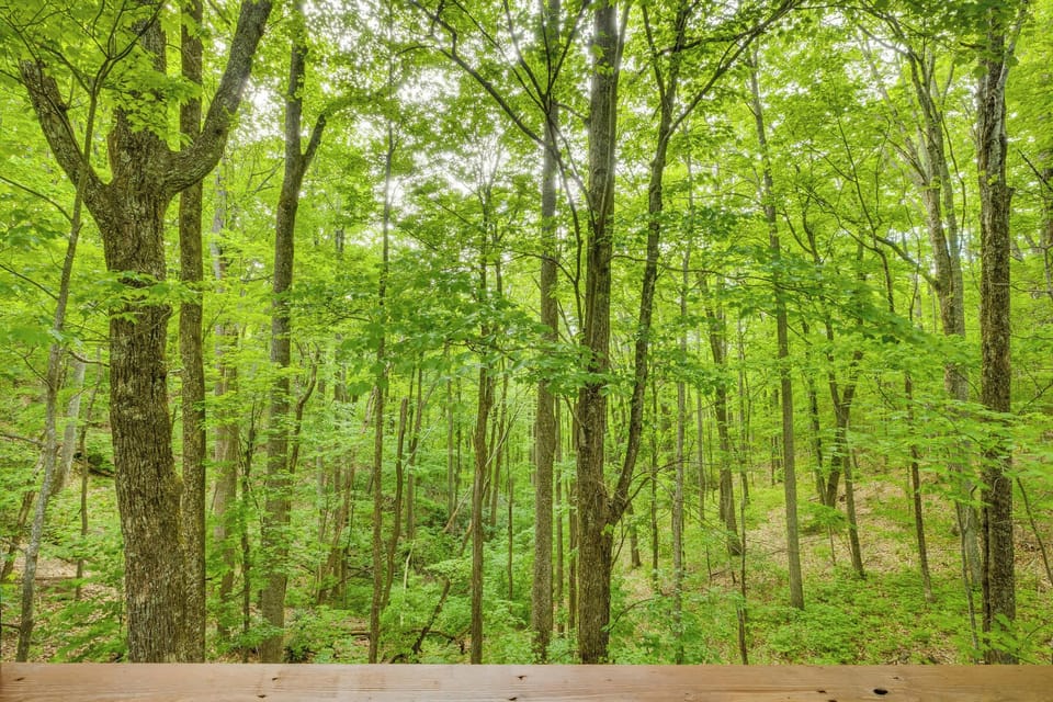 Not a cabin in sight with the views off the back deck, but in the heart of town!