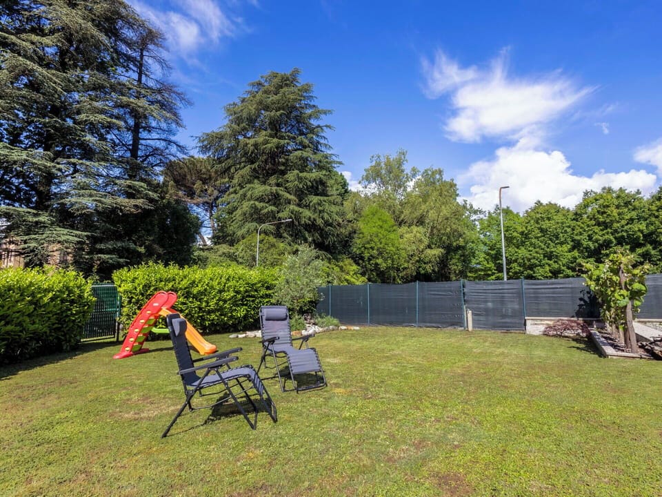 Shrub, Garden, Shade, Lawn, Sunlight, Landscaping, Yard, Park, Evergreen