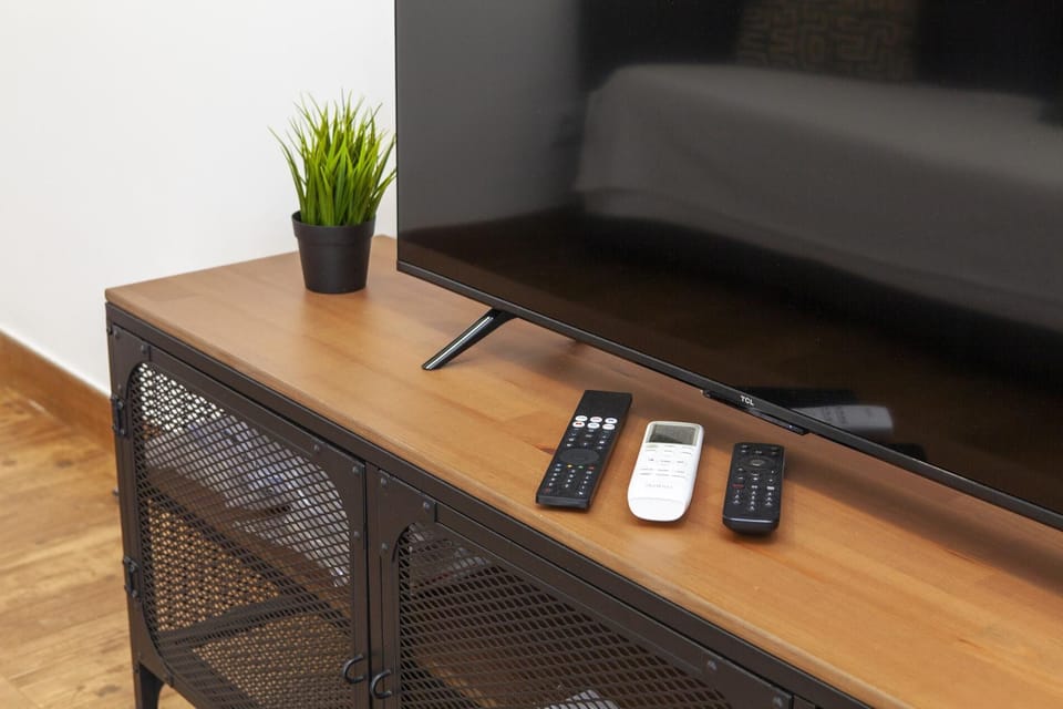 Television