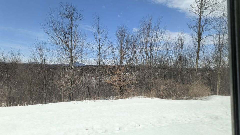 View from property