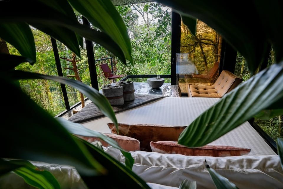 Wake to birdsong and panoramic forest views from bed.