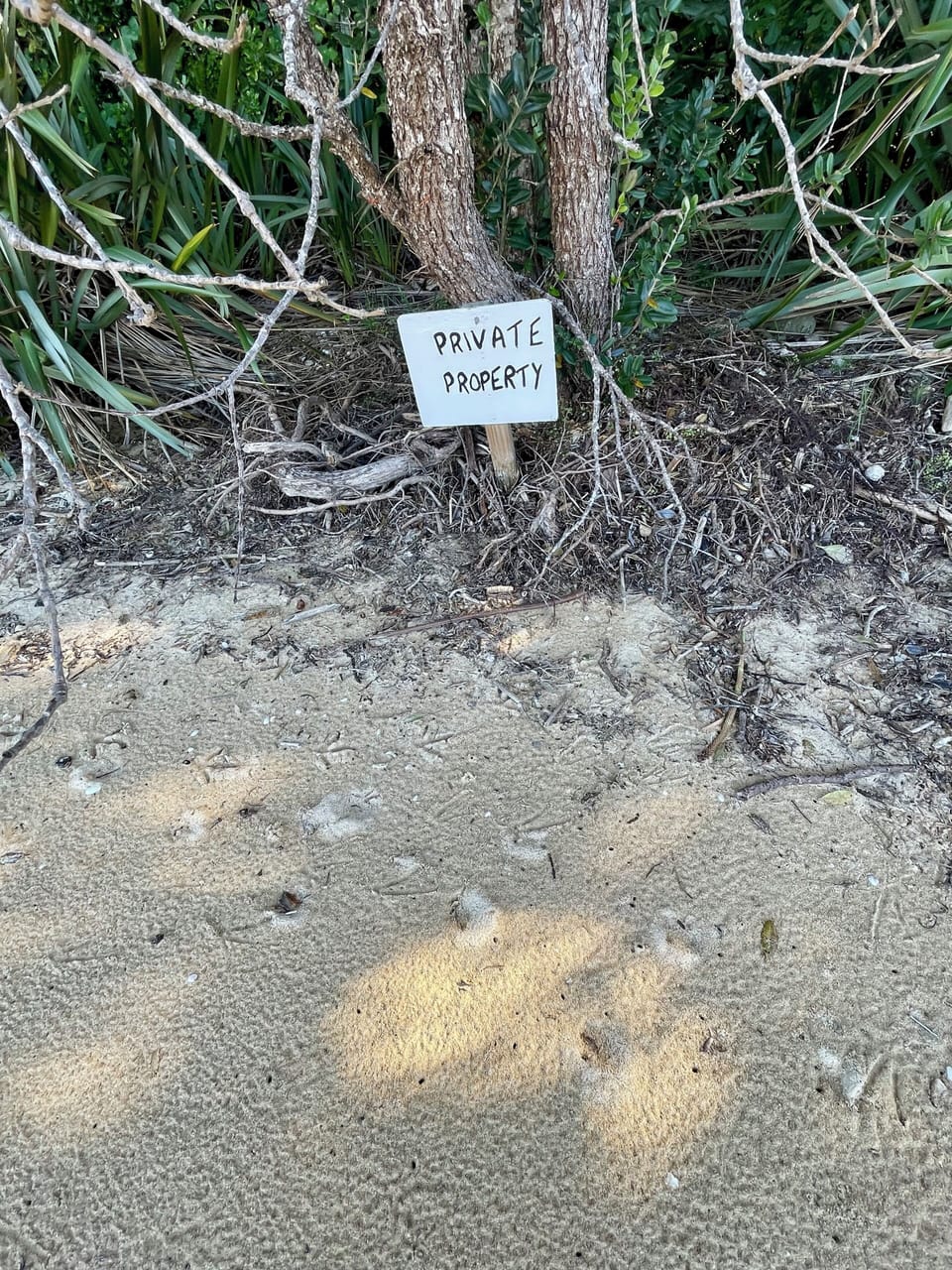 Kiwi prints in the sand