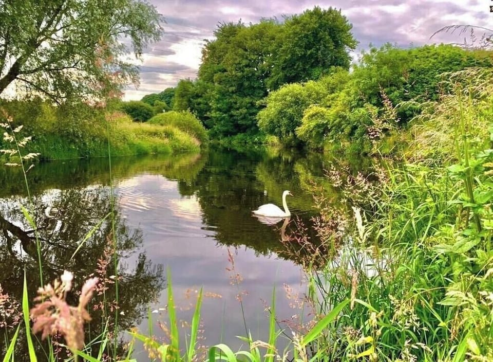 Image 30
