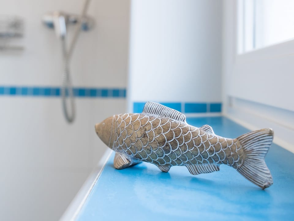 Hand-held showerhead