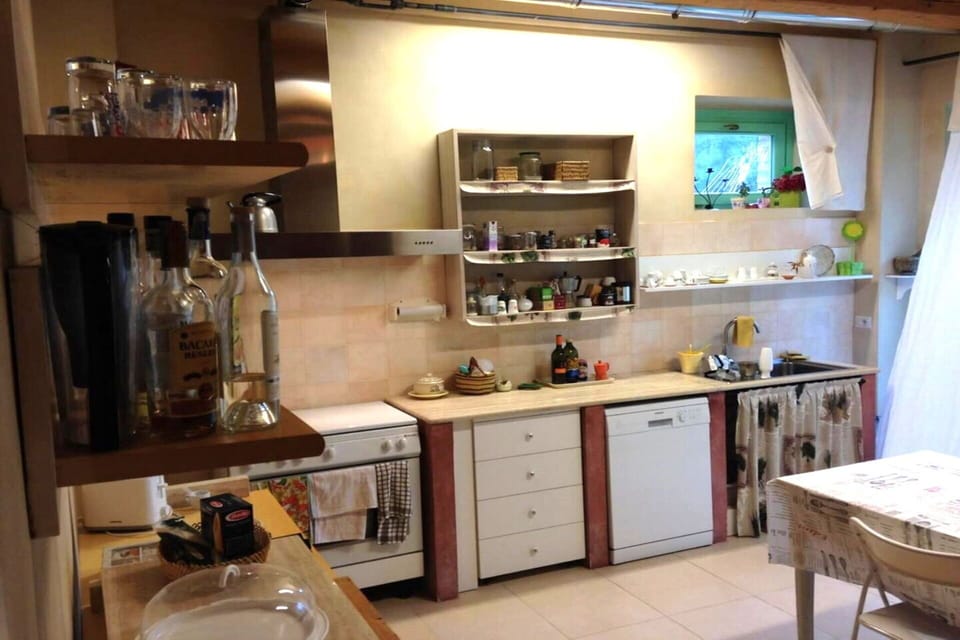 Kitchen Appliance, Kitchen, Furniture, Major Appliance, Countertop, Interior Design, Cabinetry, Flooring, Shelving, Shelf